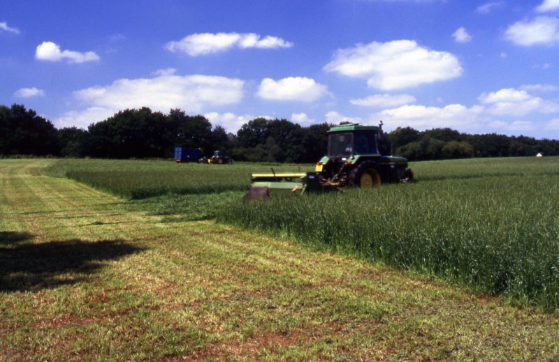 mowerandforagerworktogether.jpg